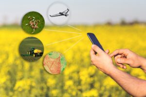 Agrotech: Inversiones y sostenibilidad